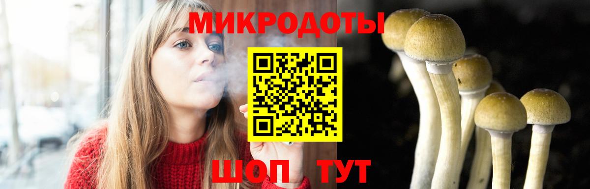 закладки  Вход с VPN  Псилоцибиновые грибы MAGIC MUSHROOMS  Старая Русса  Галлюциногенные грибы Cubensis 