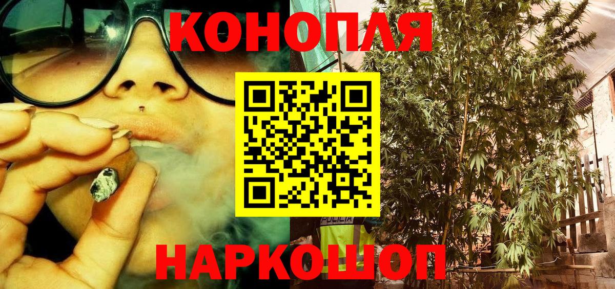 Бошки Шишки план Старая Русса